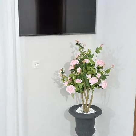 Luxury Sea - 2 Bedrooms - Big Balcony *
